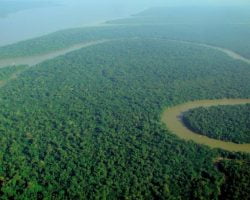 The Amazon River