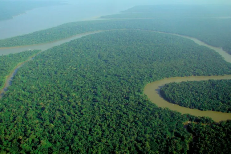 The Amazon River