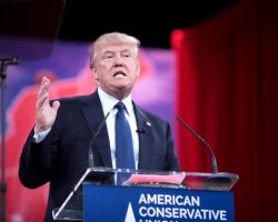 Donald Trump to run for president in 2016