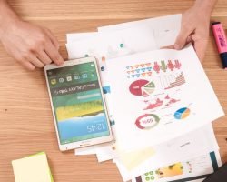 Content & Social Media Marketing Insights