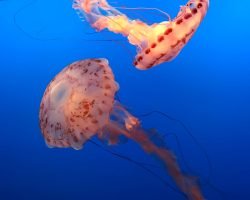 5 Features Your LED Must Have