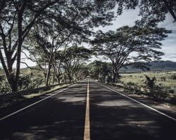 Empty Street At Ubud Bali