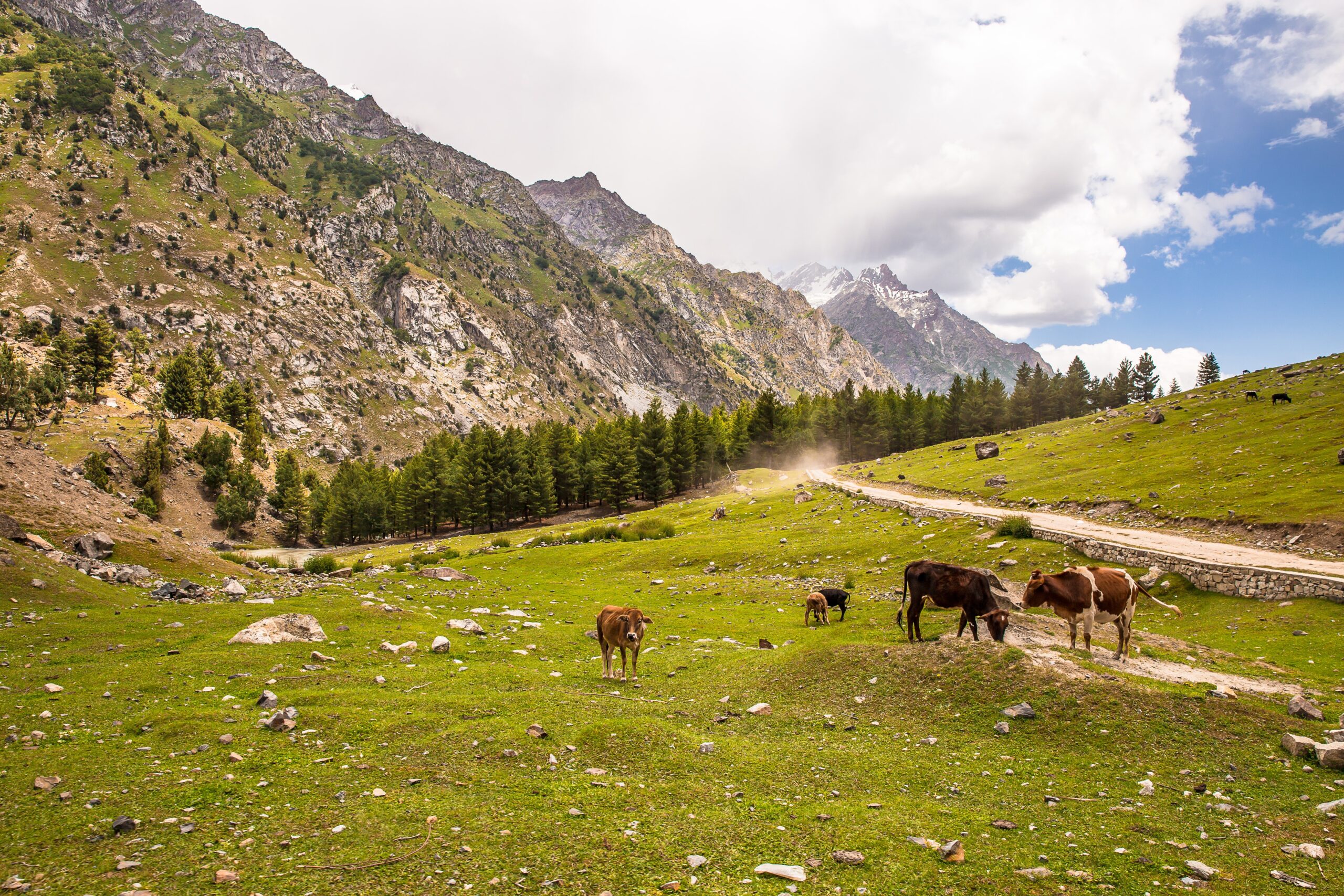 8 Reasons Why Pakistan Should Be on Your Travel Bucket List