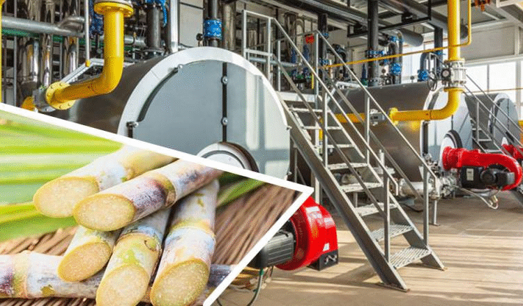 Sindh High Court Rules Lapsed Sugar Subsidy Cannot Be Revived