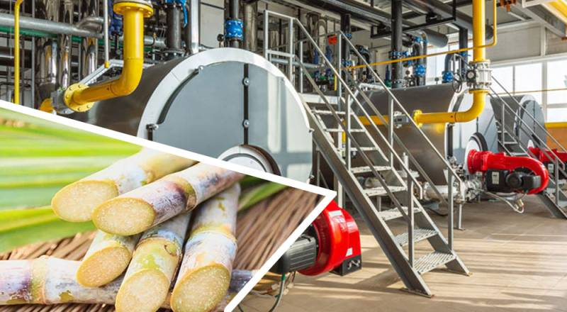 Sindh High Court Rules Lapsed Sugar Subsidy Cannot Be Revived
