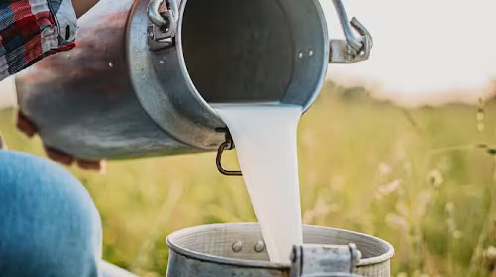 Milk Prices Expected to Rise in Karachi Following Fuel Price Hike