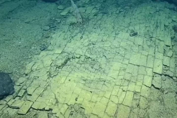 Scientists Discover Mysterious ‘Yellow Brick Road’ Deep Beneath the Pacific Ocean