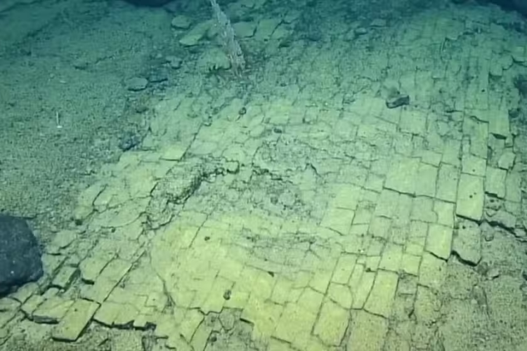 Scientists Discover Mysterious ‘Yellow Brick Road’ Deep Beneath the Pacific Ocean