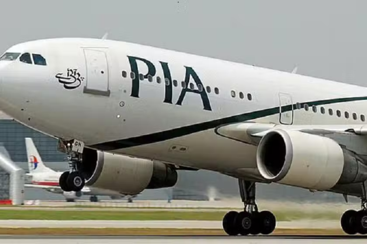 Senate Orders Independent Probe Into Alleged PIA Crew Misconduct