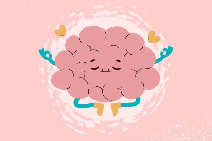 Study Suggests the Human Brain Evolved as Two Separate Organs