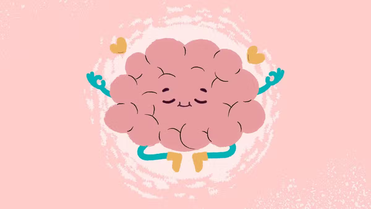 Study Suggests the Human Brain Evolved as Two Separate Organs