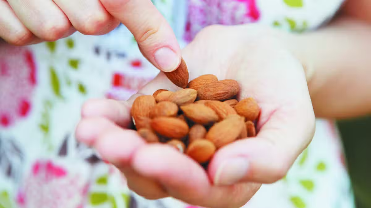 Imported Almonds May Become More Expensive in Pakistan Ahead of Winter