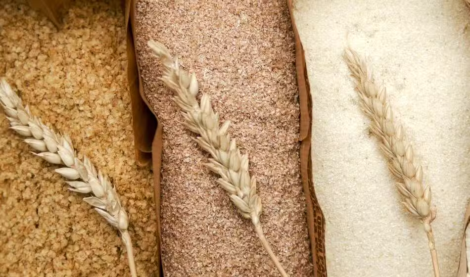 Pakistan Could Lose Rs. 3.5 Trillion as Post-Harvest Crop Losses Reach 40%