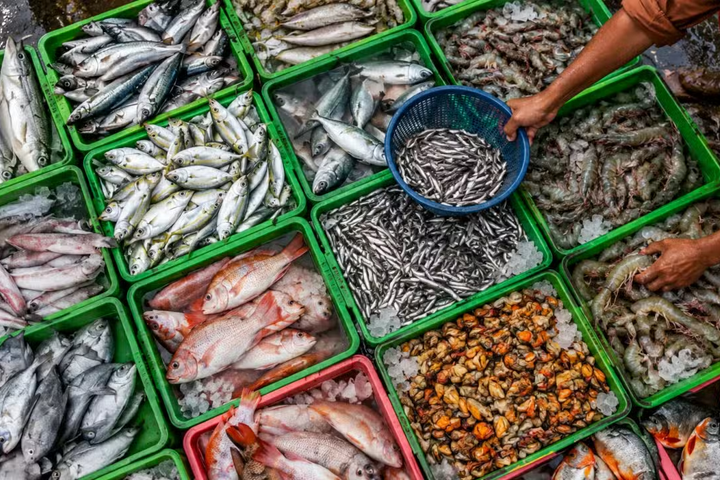 Pakistan Fish Exports Surge 75% as Seafood Shipments Rise