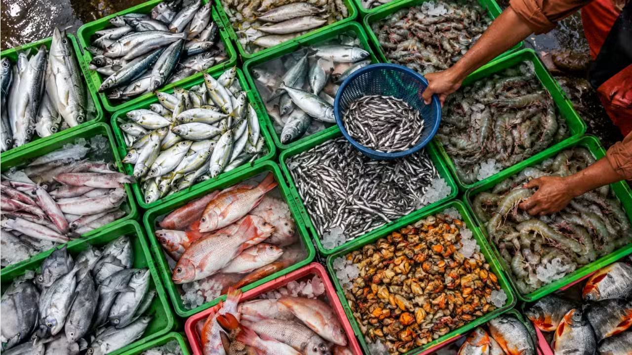 Pakistan Fish Exports Surge 75% as Seafood Shipments Rise